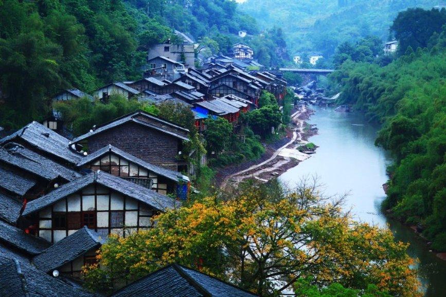 蓝色怪物救援